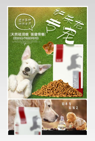 酷炫风格日常需求宠物用品产品详情
