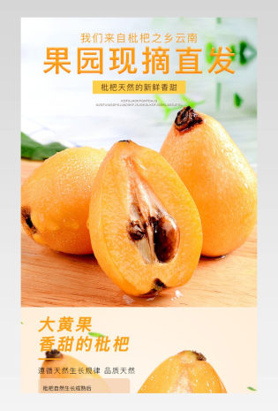 新鲜水果枇杷详情页面描述页通用