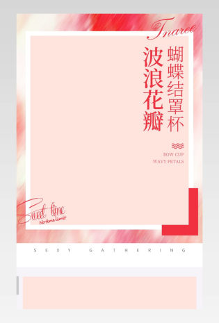 唯美春夏女士内衣文胸内裤详情页