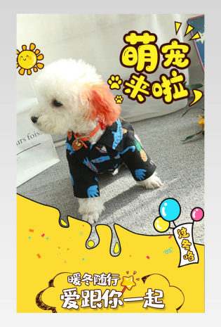可爱萌犬宠物小狗小猫服装详情页
