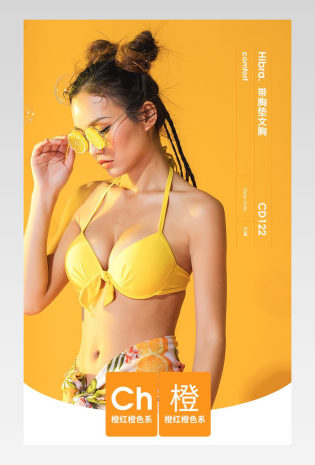 文艺时尚简约内衣文胸泳衣胸罩详情页