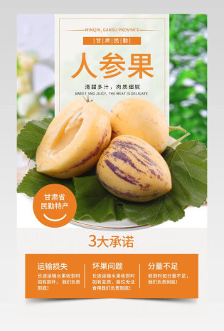 甘肃民勤 人参果 详情  新鲜当季水果 详情 圆黄肉生 新鲜孕妇水果  人叁果详情页 