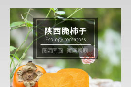 水果脆柿子详情页 新鲜水果简约版面