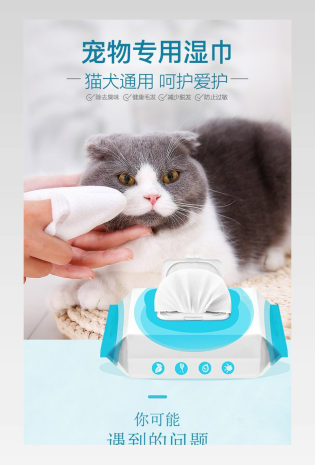 电商简约小清新风格可爱宠物猫咪狗狗狗详情页