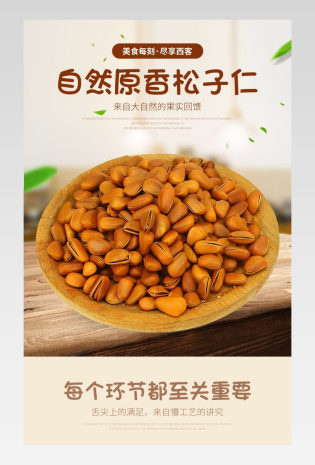 美味零食吃货美食自然原味松子仁详情页