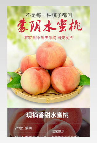 蒙阴水蜜桃子生鲜水果清新详情页