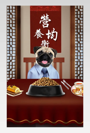 时尚简约可爱复古狗粮食品宠物用品详情页