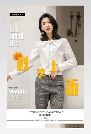 秋季上新简约小清新女装刺绣衬衣衬衫详情页