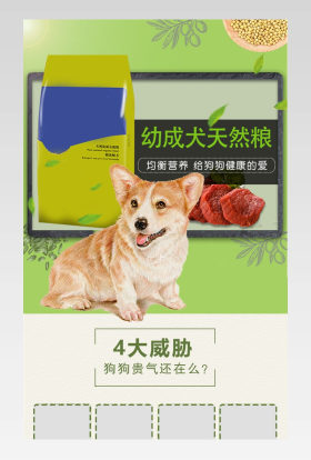 时尚日常通用宠物用品狗粮详情页