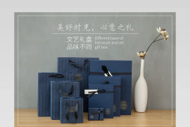 文艺简约清新条纹纸盒礼盒送礼礼物盒文艺礼盒手拎纸袋