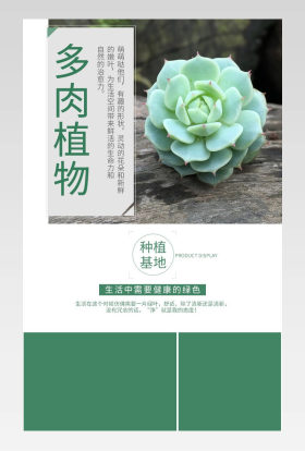 绿色白色小清新绿色植物多肉详情页