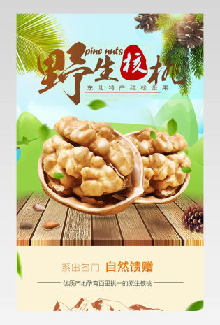 古风青色系农产品核桃无线首页原文件