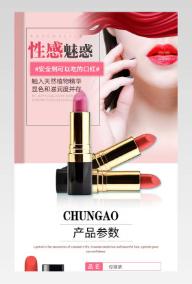 简约时尚粉色背景大牌口红详情页面描述页