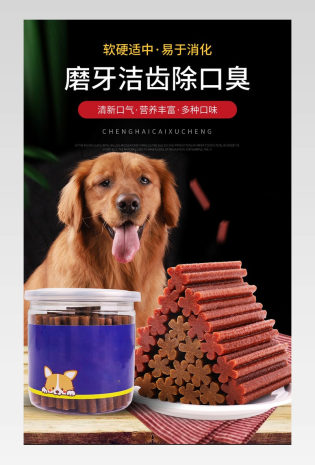 宠物用品狗狗磨牙棒道具零食详情页