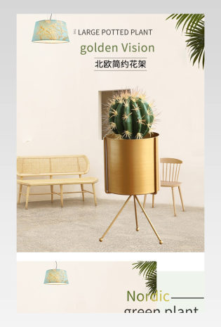 INS北欧风仙人掌仙人球鲜花绿植仿真花花瓶花架详情页