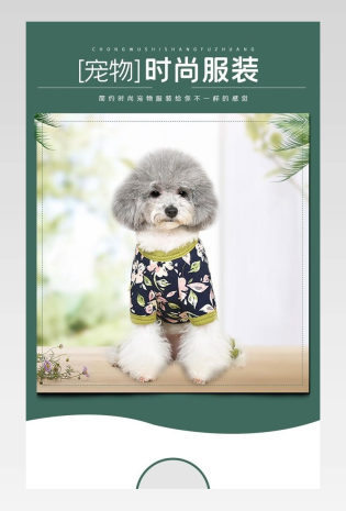 宠物服饰详情简约狗狗衣服描述页面介绍
