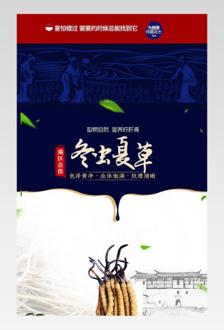 药材虫草铁皮石斛冬虫夏草草药保健品蓝色古典养生中药枸杞人参古朴详情页
