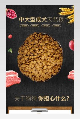 中大形宠物食品狗粮猫粮宠物详情页