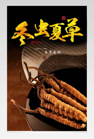 中国风滋补品冬虫夏草宝贝详情页产品描述