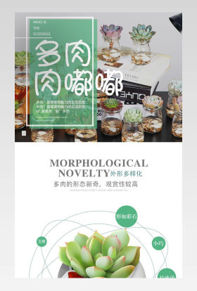 小清新日常需求鲜花园艺多肉植物详情页