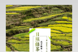 春茶节详情页清新文艺范红茶绿茶详情页茶叶详情页通用图层可修改