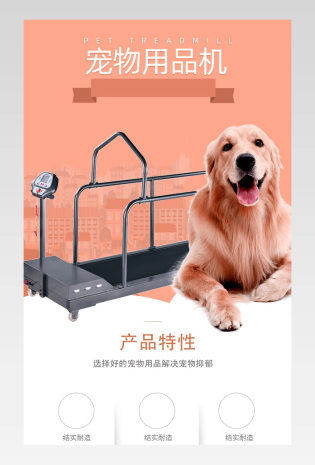 宠物用品小清新日常锻炼跑步详情页