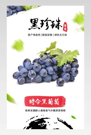 清新简约绿叶中国风黑葡萄详情页