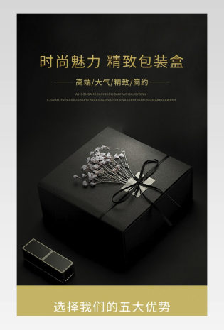 时尚魅力精致包装高端大气简约包装盒详情页