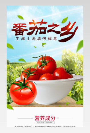 电商生鲜蔬菜番茄西红柿详情页设计素材