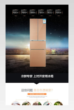 电商通用奢华典雅风格日常详情大家电大冰箱详情页3