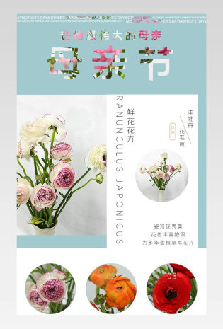 母亲节清新风洋牡丹花毛茛鲜花花束家居装饰详情页