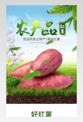 新鲜生蔬红薯地瓜详情页设计素材