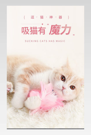 猫咪玩具铃铛羽毛流苏逗猫棒详情页