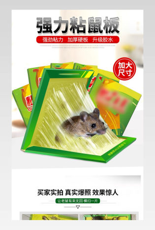 家居绿色环保除虫粘鼠板详情页