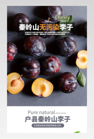 简约风水果红李子详情页产品描述页