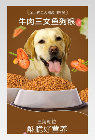 时尚日常通用宠物用品狗粮详情页