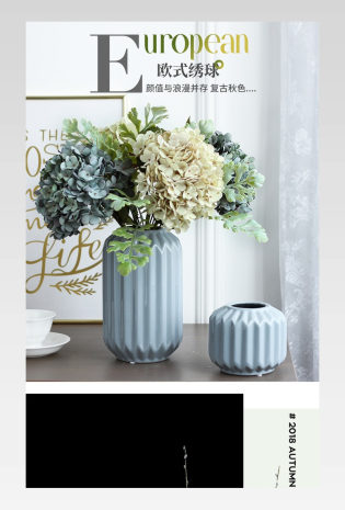 简约乡村北欧风餐厅卧室鲜花园艺绣球花瓶花器详情页