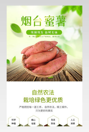 简约绿色红薯水果蔬菜类通用红薯详情页