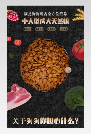 简约大气宠物用品宠物狗狗粮详情页