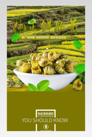 精致纯正桐乡胎菊详情页产品描述页通用 