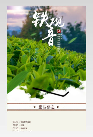 茶叶铁观音茶详情页产品描述页通用 