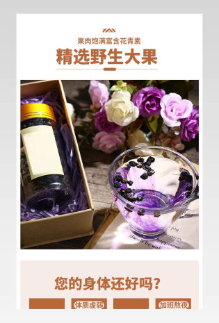 大气古典风黑枸杞保健品详情页产品描述页