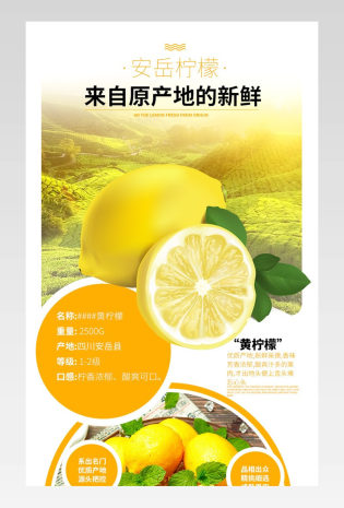 简约生鲜水果日常通用食品茶饮类柠檬详情页