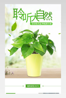 小清新风格绿植盆栽花卉详情页产品描述页 