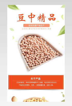 黄豆详情页产品描述页通用    