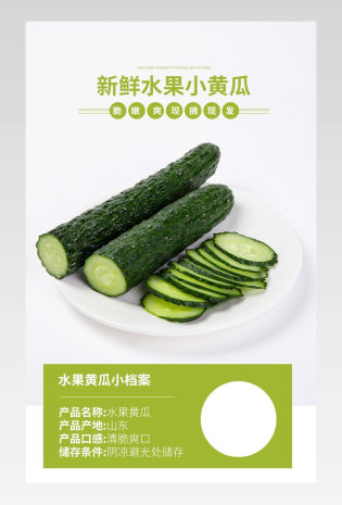 蔬菜食品绿色新鲜原生态有机食品黄瓜