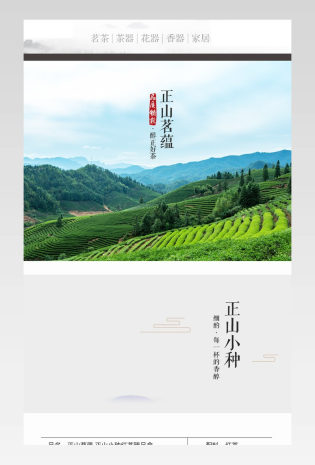 正山小种 详情页设计详情页产品描述页通用  