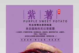 越南进口紫薯详情页产品描述页通用 