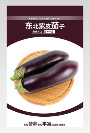 蔬菜食品绿色新鲜原生态有机食品茄子