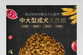 清新简约风狗粮详情页产品描述页通用